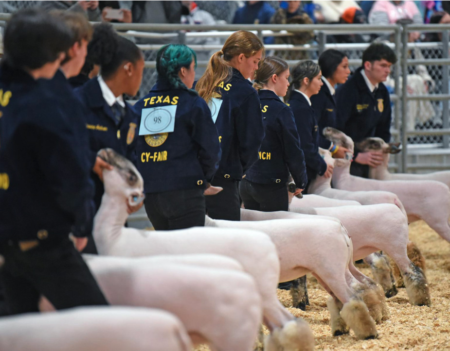 29th Annual CFISD Livestock Show & Sale Kicks Off