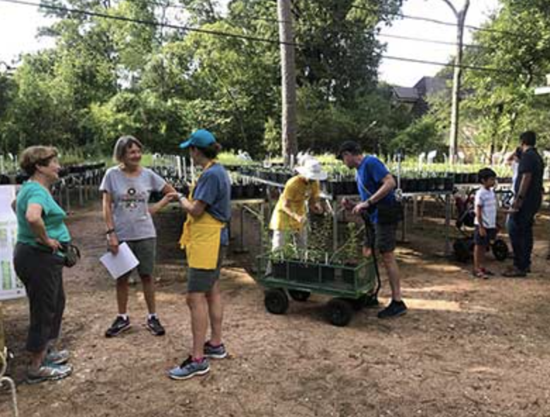 Natives Nursery Plant Sale: Shop Local Native Plants with Houston Audubon