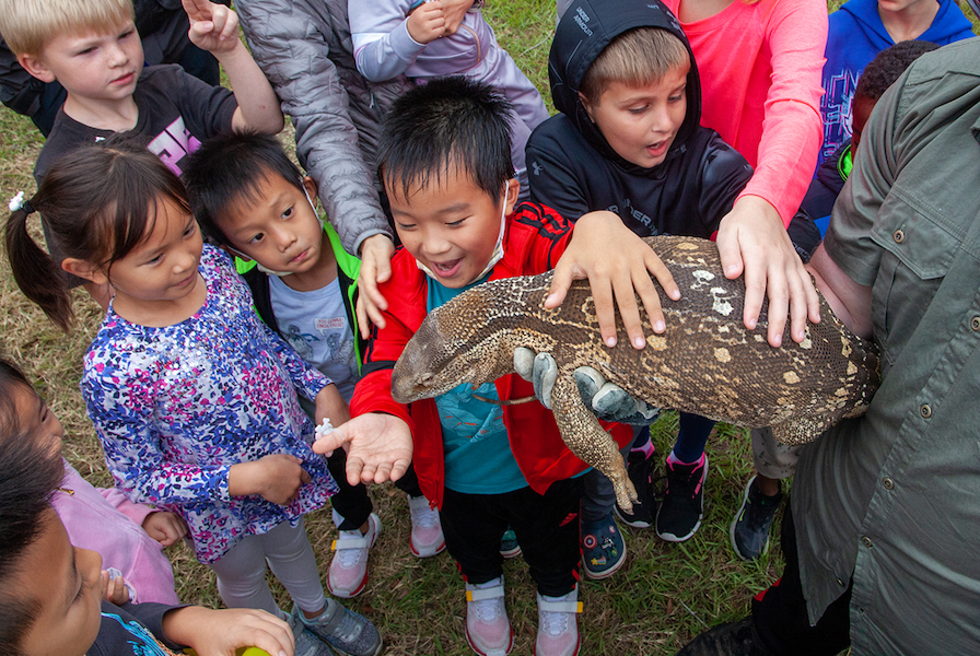 Nature Fest in Bridgeland - May 6