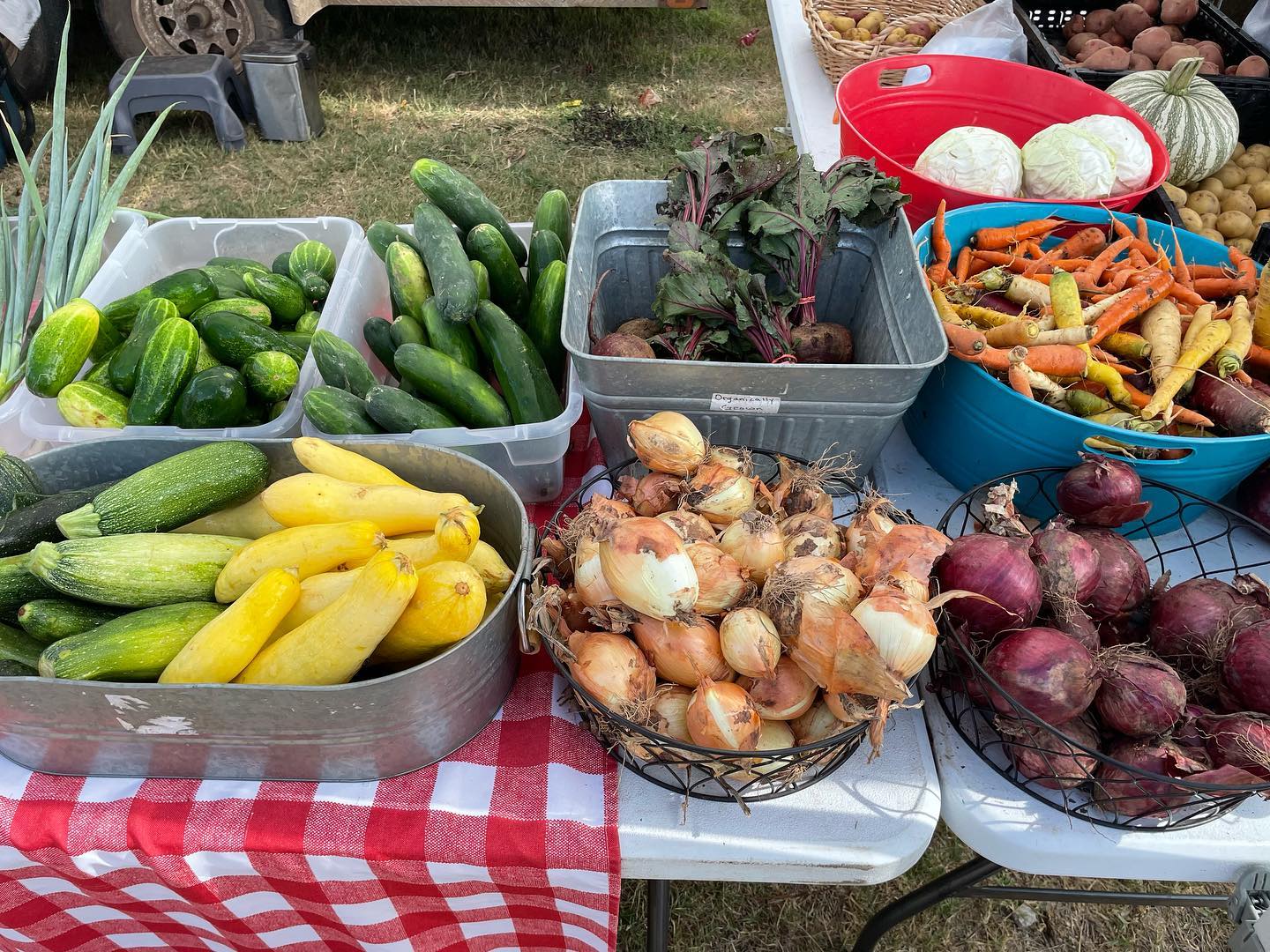 Towne Lake Farmers Market This Weekend