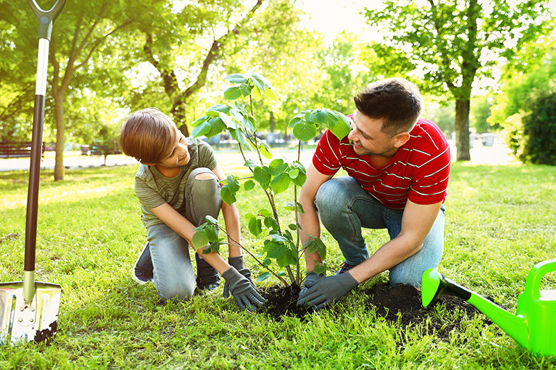 Fort Bend County Master Gardener Offers Pro Planting Tips for Trees and Shrubs This Fall