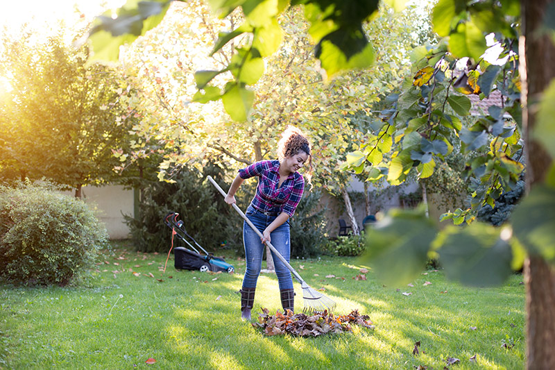 Harris County Master Gardener Offers Expert Tips for November Gardening