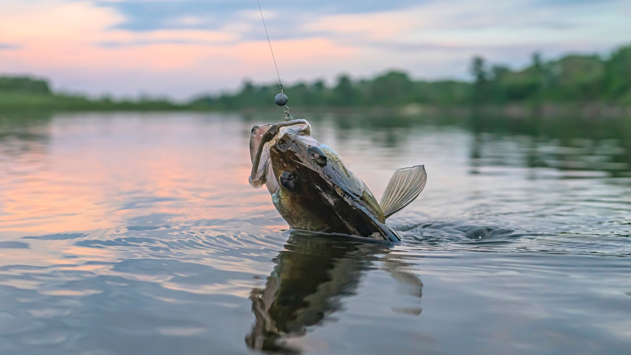 Fulshear Fishing Club End of Year Tournament