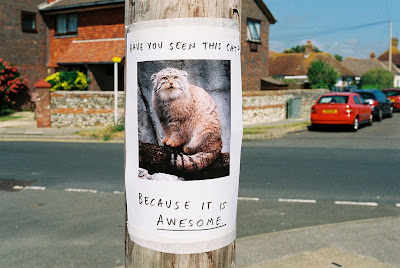 Posting of Notices on Street Lights and Traffic Signs