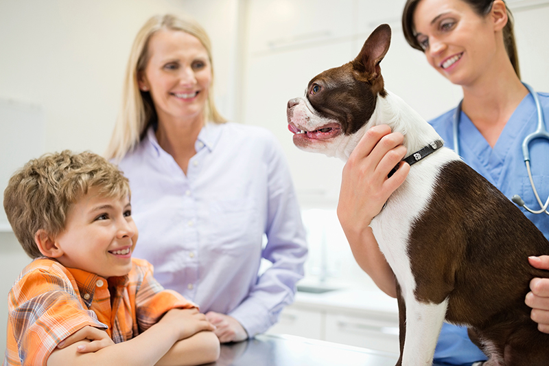 Fort Bend County Animal Services Launches Free Microchip Fridays Initiative for June
