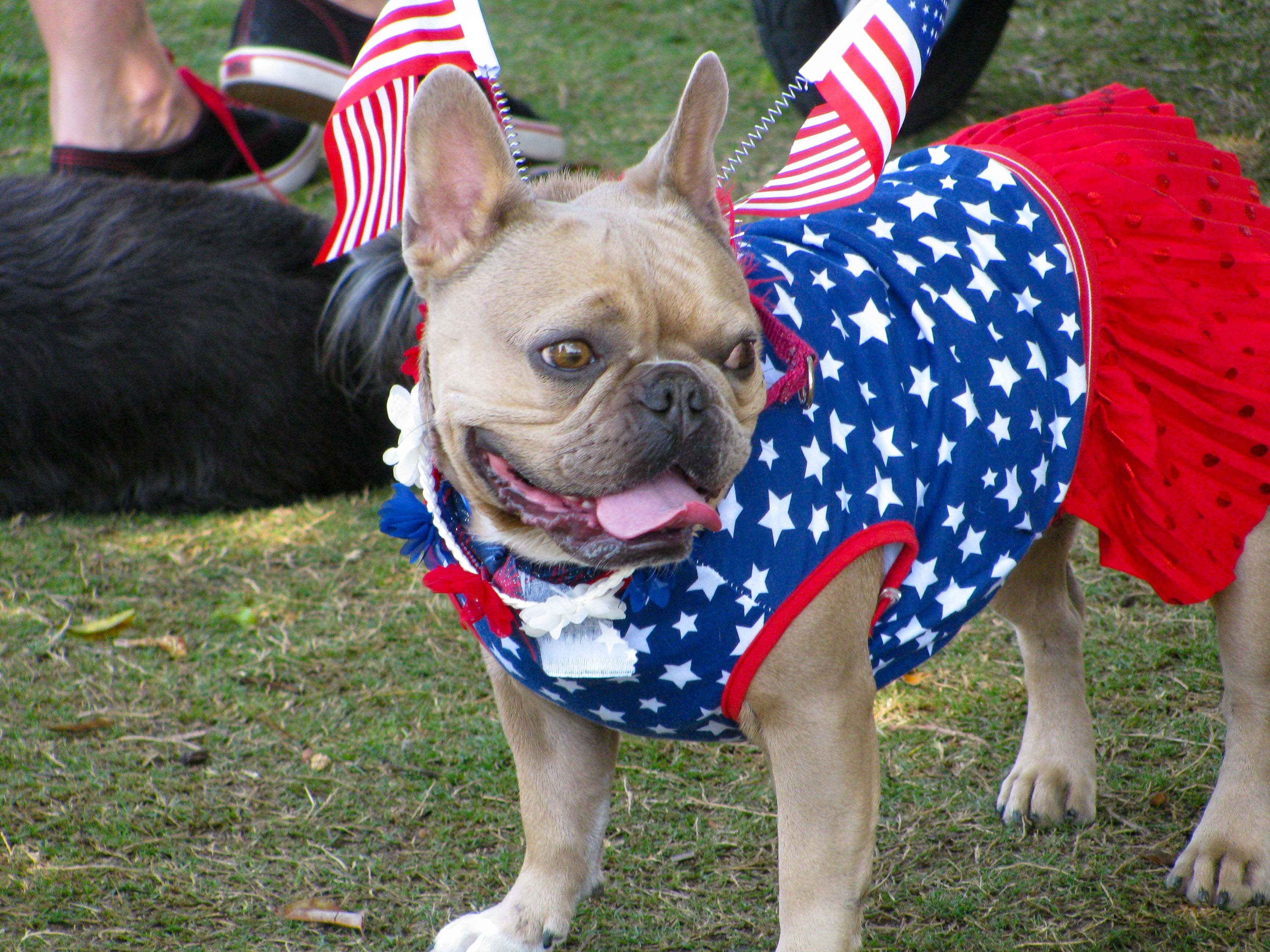 Fourth of July Parade a Success