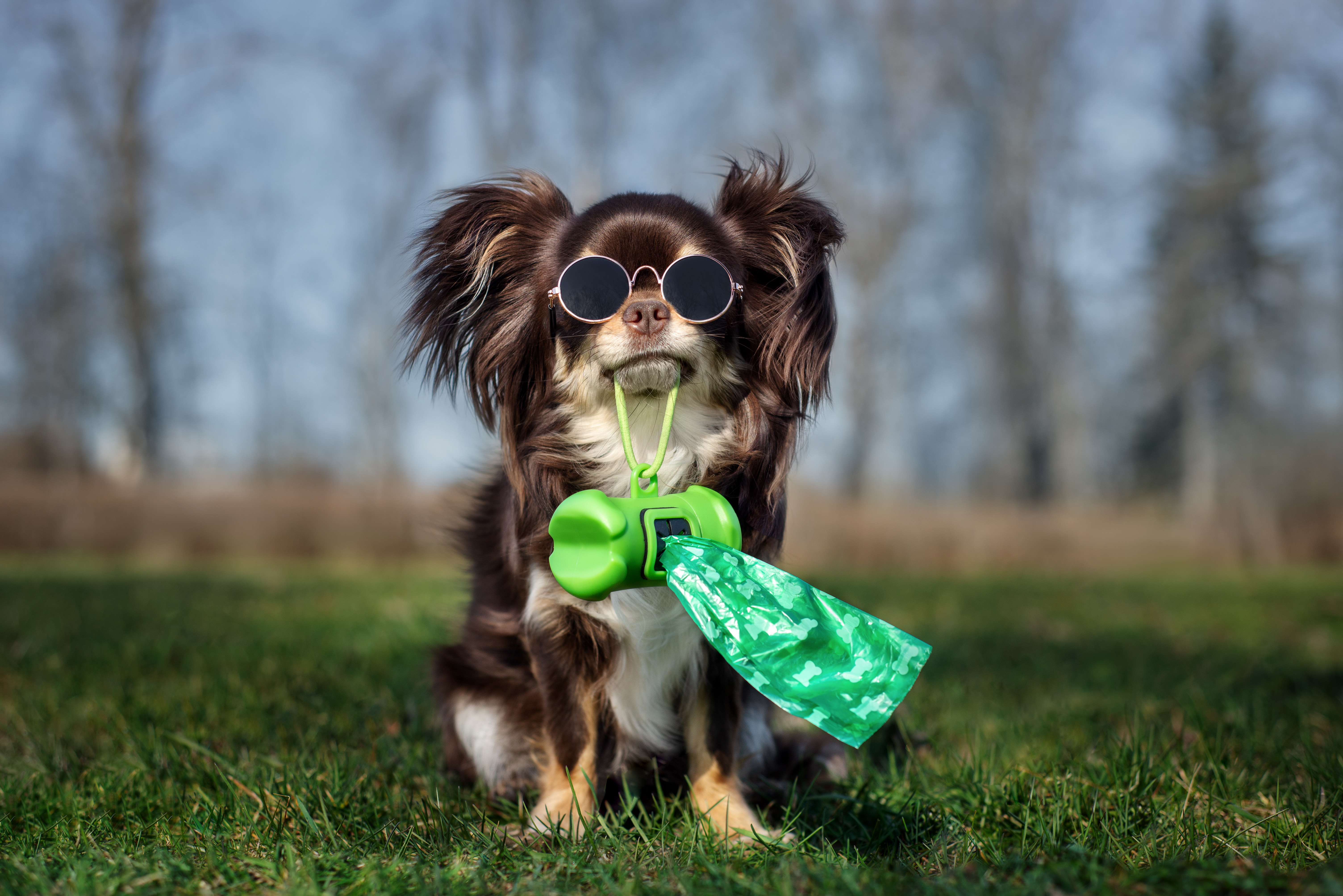 Please Be Courteous and Pick Up After Your Dog