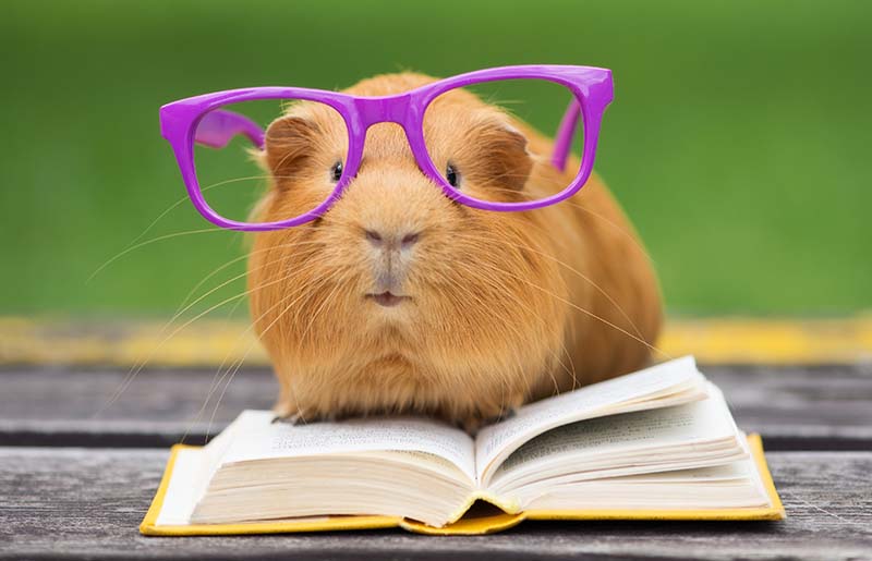 Events at Lone Star College Library CyFair This Week