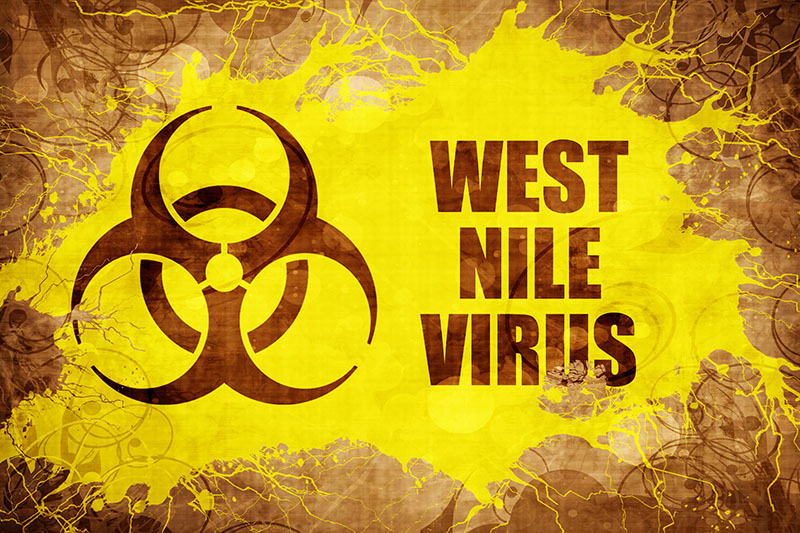 Multiple People in Harris County Infected with West Nile Virus, Hundreds of Mosquito Samples Test Positive
