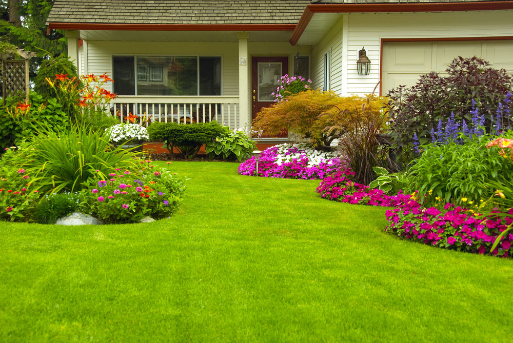 Lawn Maintenance Reminders