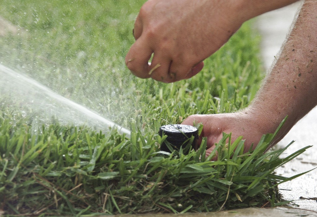 Requesting a FREE Irrigation System Check