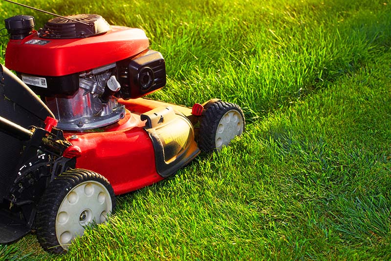 Did You Know Anniston Offers Front Yard Maintenance for All Residents?