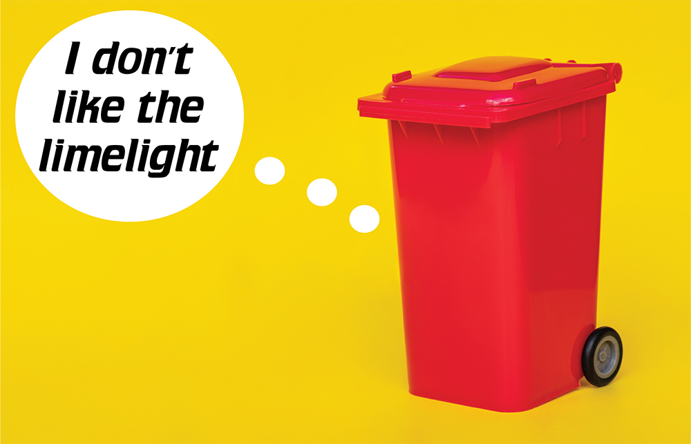 Why Hearthstone Residents Are Asked to Keep Trash Cans Out of Sight—and How It Helps Everyone