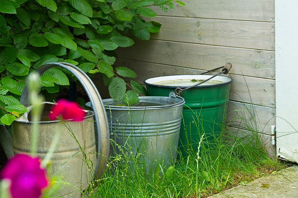 Mosquito-Proof Your Houston Area Yard: Easy DIY Tips to Keep Your Home Bite-Free This Spring