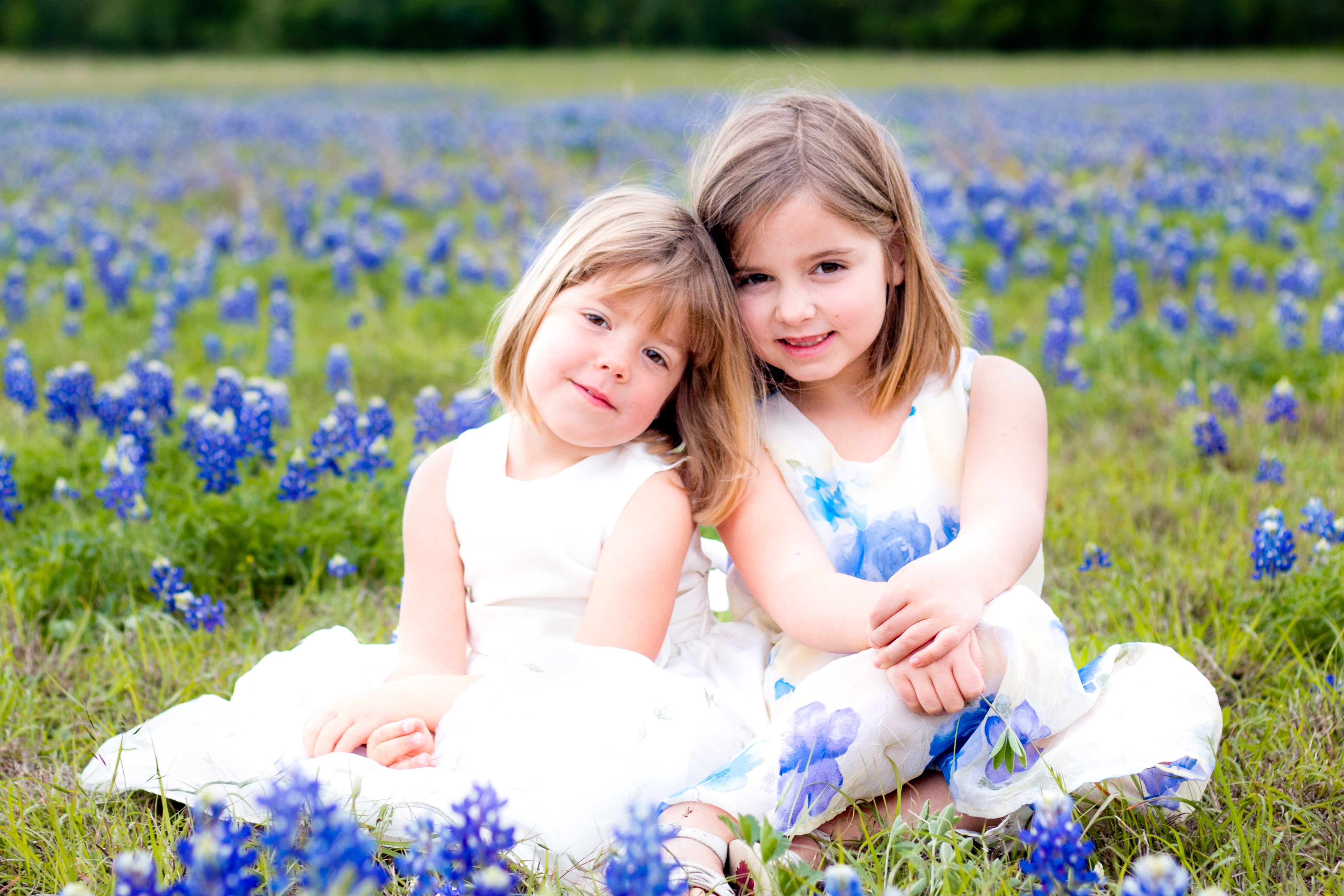 Bluebonnet Season = Family Portraits