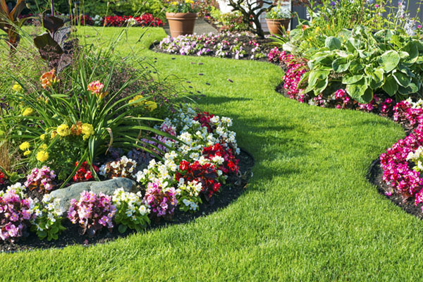 Median Flower Beds