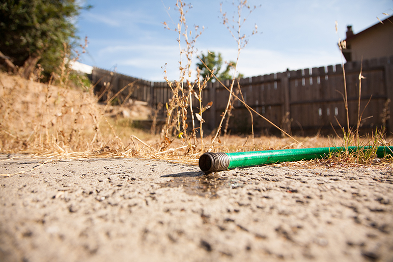 Surviving Texas Heat: Texas A&M AgriLife Extension Shares Essential Gardening Tips for Managing Moisture and Pests in Extreme Weather