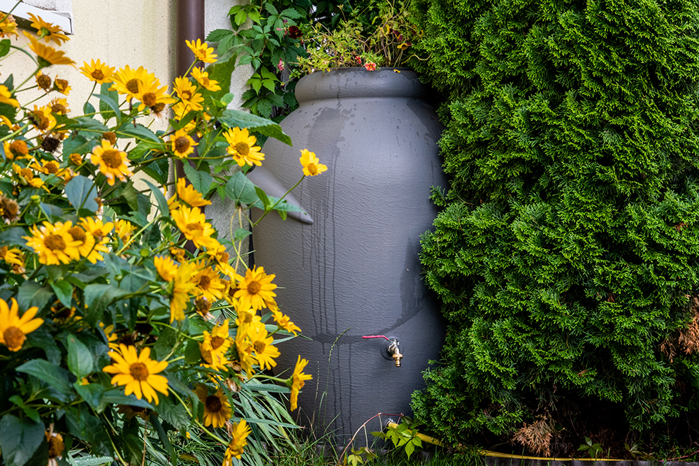 Rainwater Harvesting Offers Woodcreek Reserve Homeowners a Simple Way to Conserve Water and Secure the Future