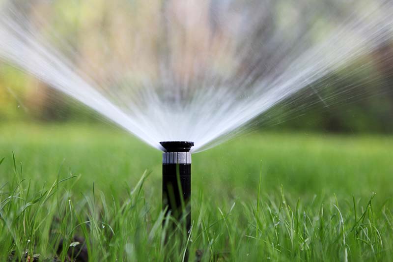Reminder: No Watering on Mondays