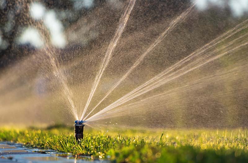 Reporting Irrigation Issues in Cinco Ranch I