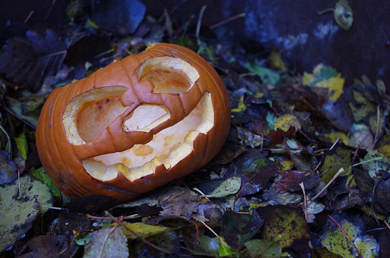 Don't Throw Away Your Jack-O-Lanterns!