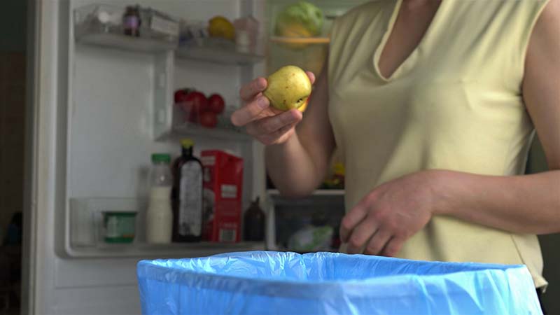 Ensuring Food Safety and Understanding Food Spoilage Insurance Coverage in the Wake of Hurricane Beryl