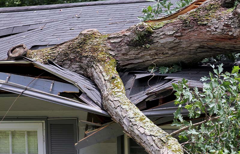 Navigating Post-Hurricane Recovery: Texas Department of Insurance Shares Essential Steps for Utilizing Insurance and Avoiding Scams