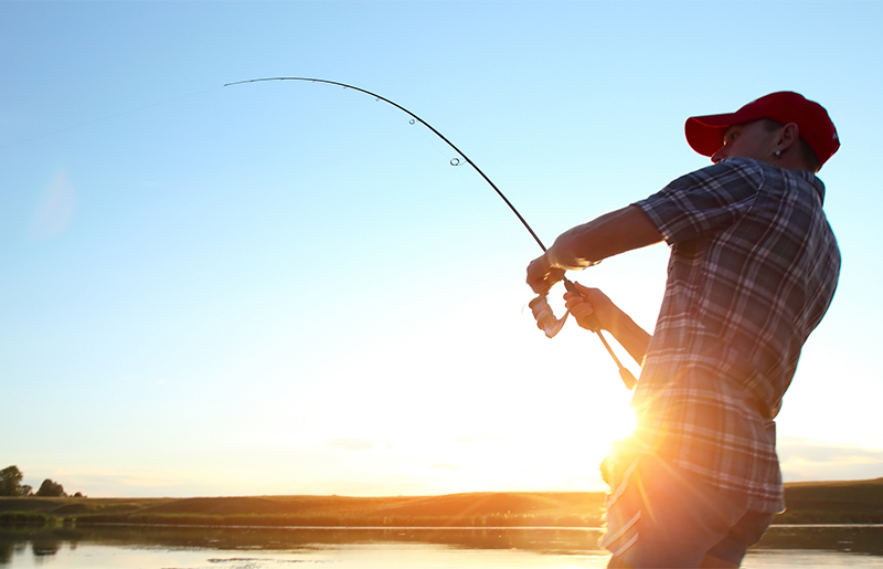 Top Fishing Spots Near Fulshear