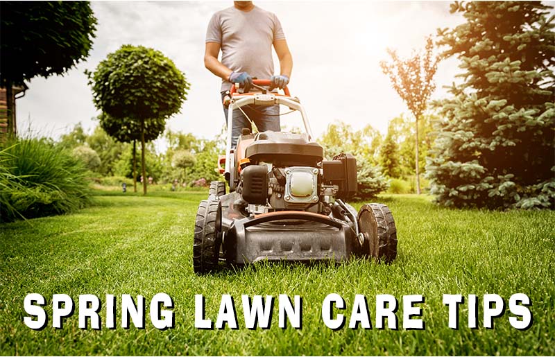 Spring Lawn Care Tips