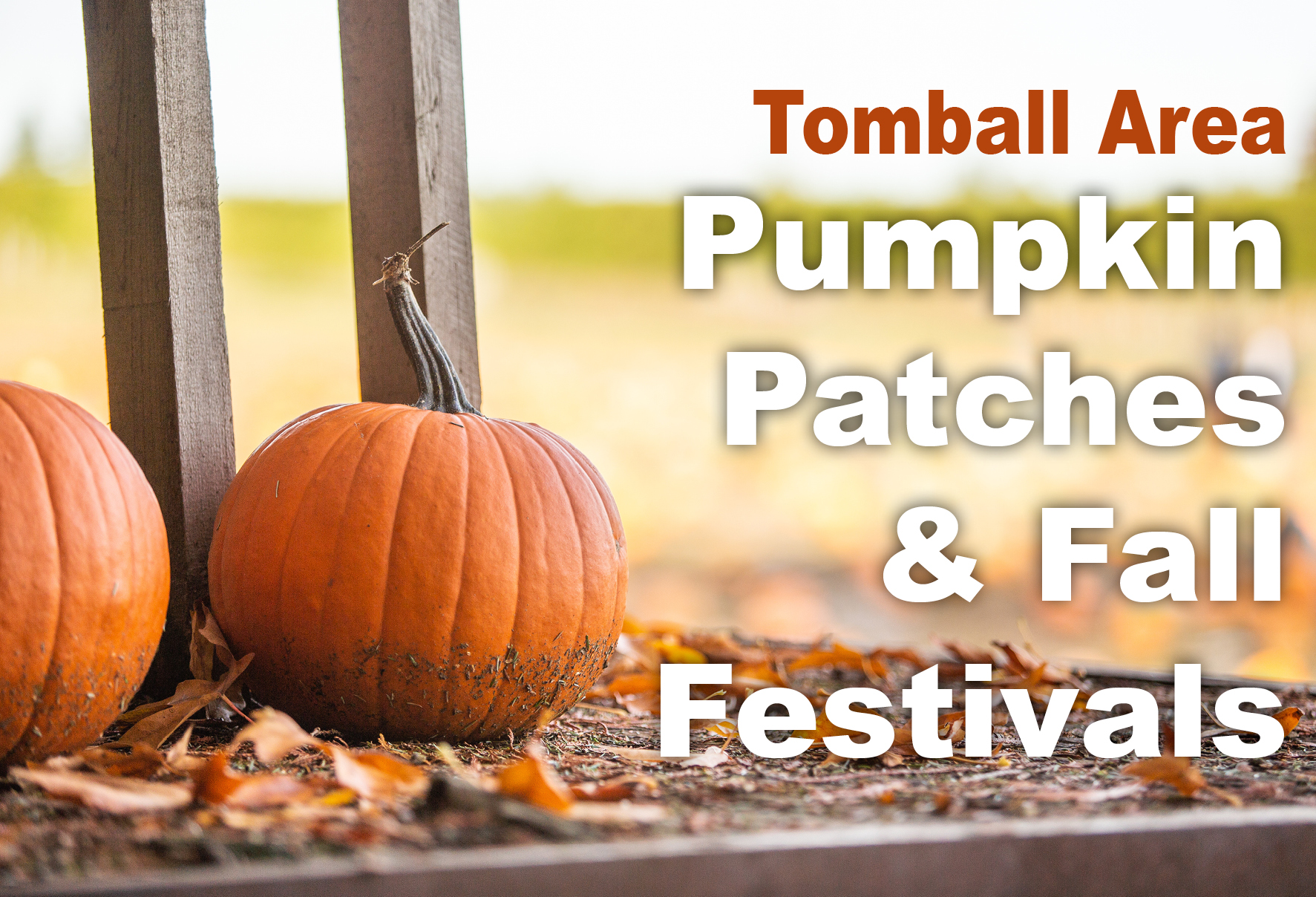 Pumpkin Patches & Fall Festivals