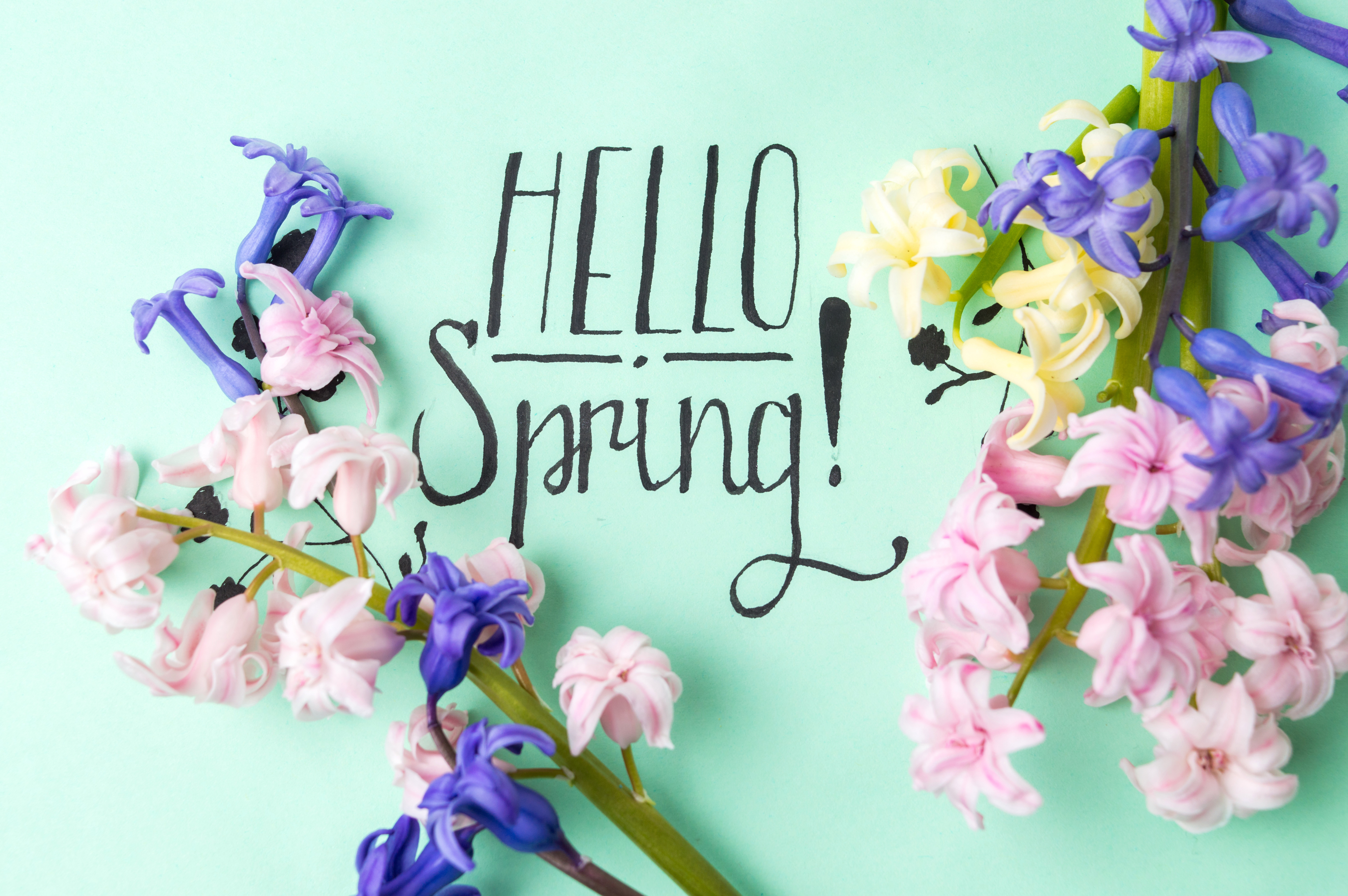 Are You Ready for Spring?