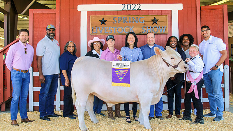 Student Competitors Ready to Show at Spring ISD Livestock Show and Fair