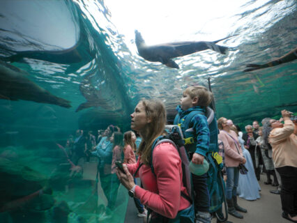 Galapagos Islands at the Houston Zoo: First-of-its-Kind Exhibit Debuts