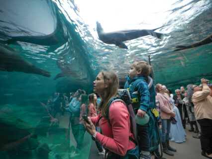 GalÃ¡pagos Islands at the Houston Zoo: First-of-its-Kind Exhibit Debuts