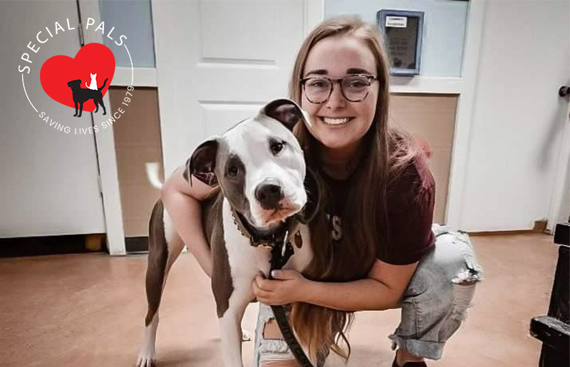 Special Pals Joins BISSELL Pet Foundation's Nationwide 'Empty the Shelters' Campaign
