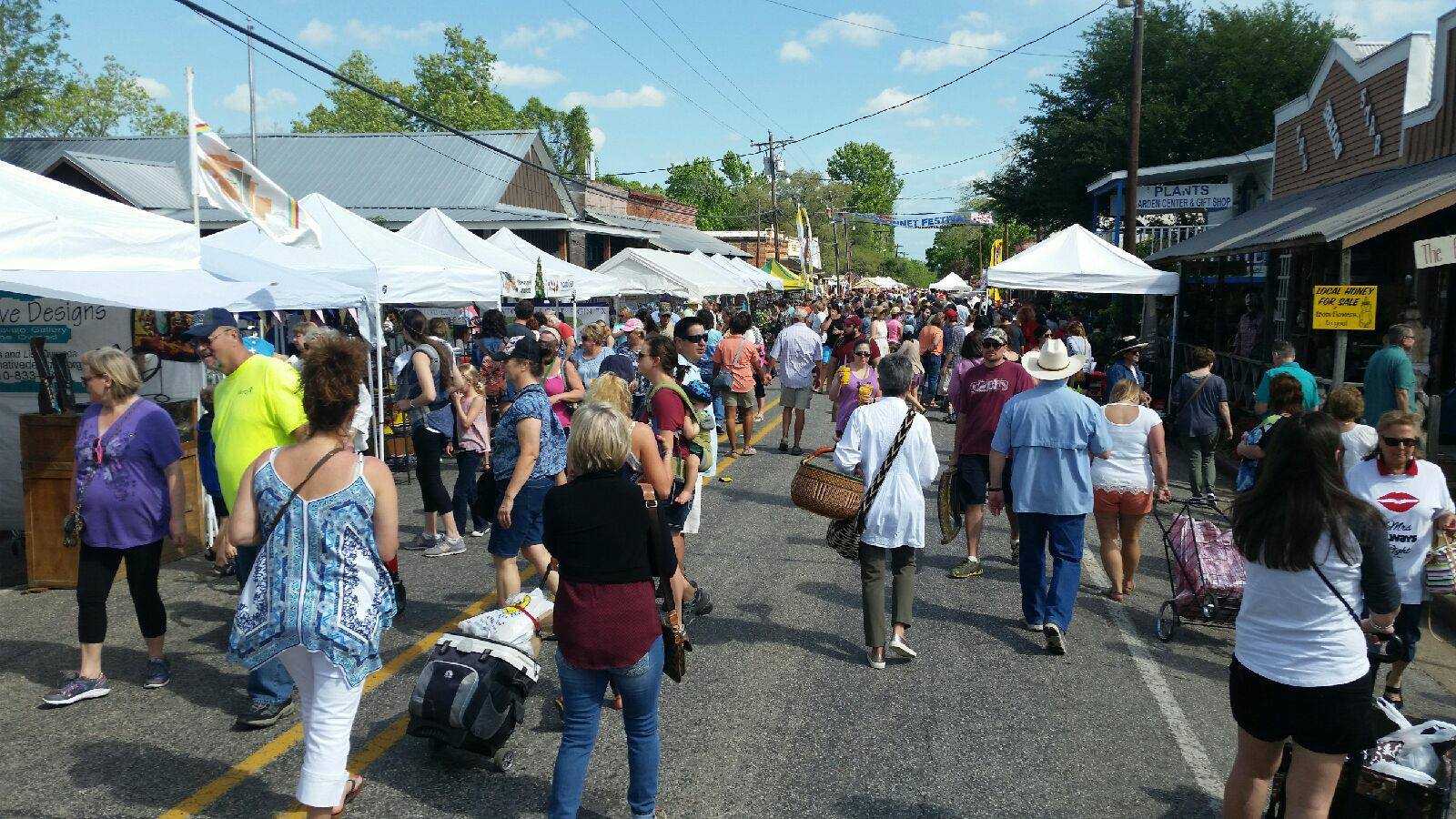 Why the Chappell Hill Bluebonnet Festival Is the Perfect Spring Day Trip from Cypress