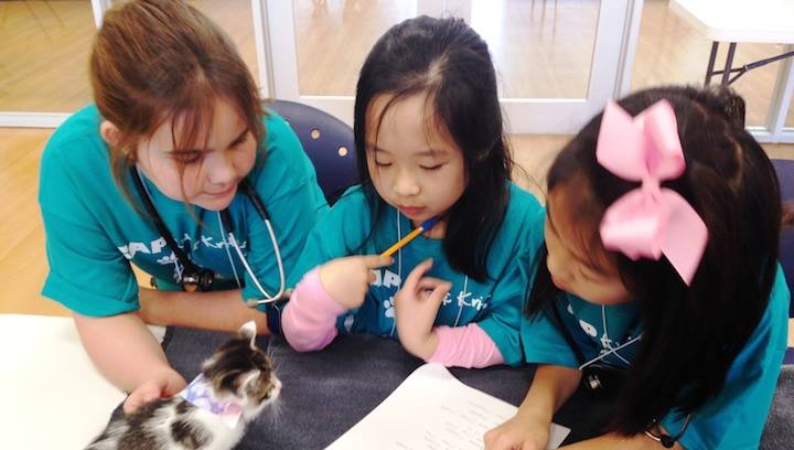 Summer Camp Registration Now Open at Citizens for Animal Protection: Empowering the Next Generation of Animal Advocates