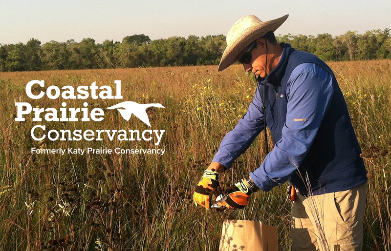 Earth Day Spotlight: How the Coastal Prairie Conservancy Is Protecting Katy’s Natural Legacy One Acre at a Time