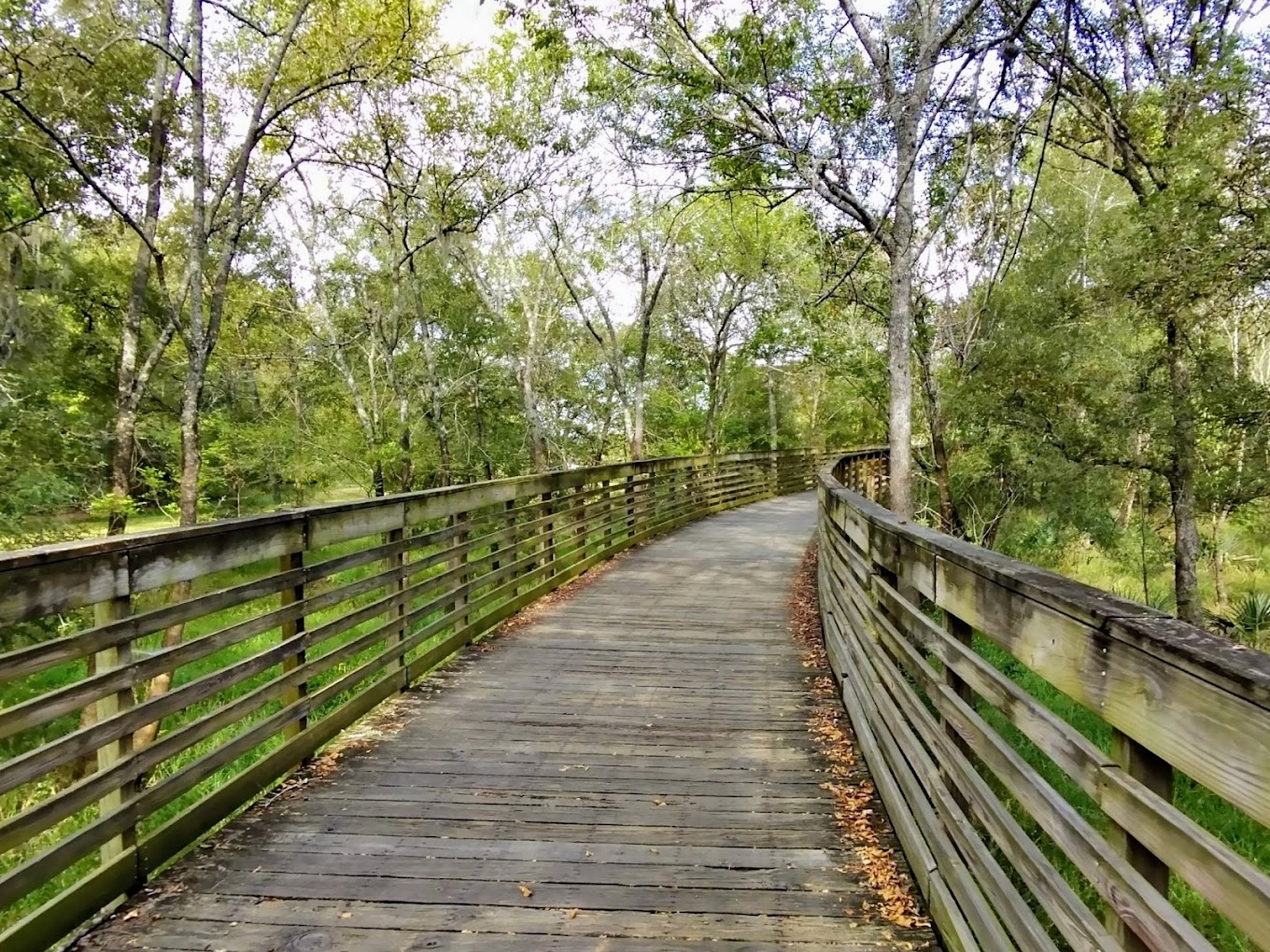 Discover George Bush Park: A 7,800-Acre Outdoor Playground in Your Own Backyard