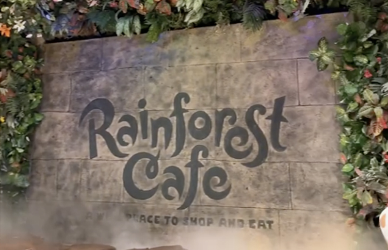 Rainforest Cafe at Katy Mills Completes $2.5 Million Interior Renovation, Blending Classic Jungle Themes with Modern Flair