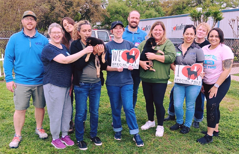 Adopt, Foster, or Volunteer: How Cypress Meadow Residents Can Support Special Pals Animal Shelter