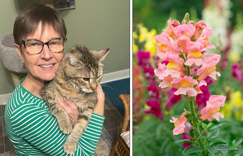 Learn About Pet-Friendly Gardening at Library Program