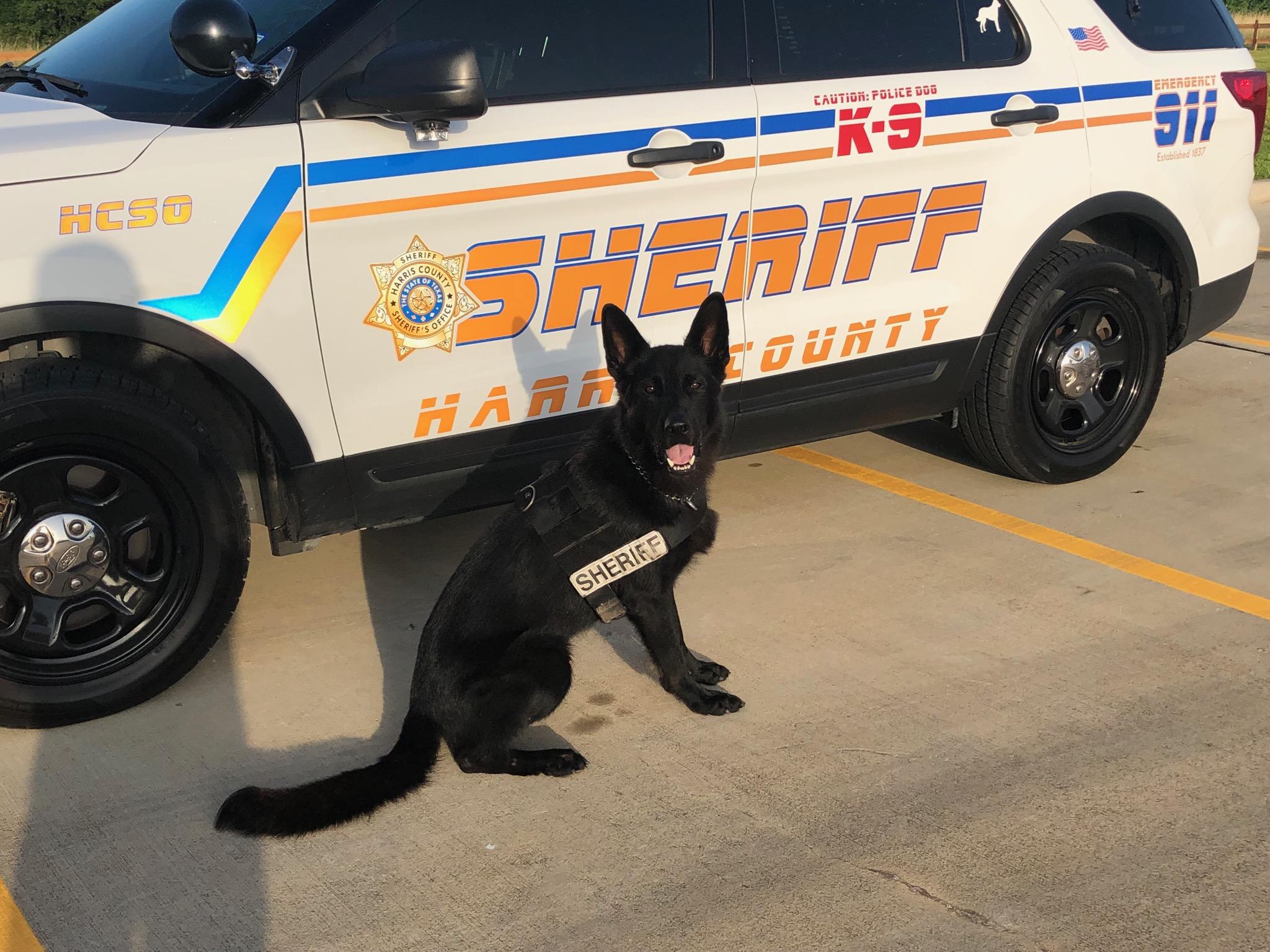 Harris County Sheriff's Office Announces K9 Retirement Celebration