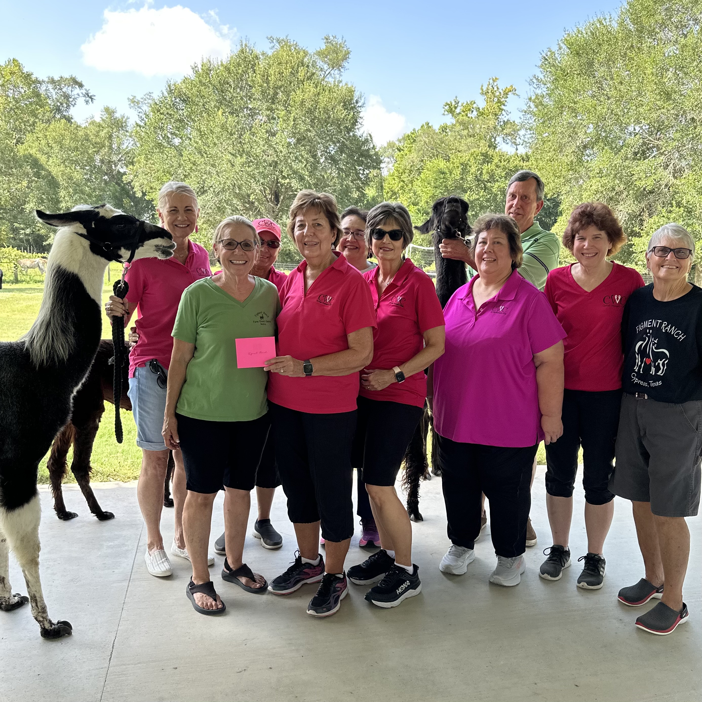 Neighbors Helping Neighbors: Cy-Fair Women's Club Distributes Funds to Other Nonprofits