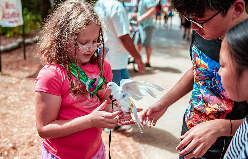 Experience the Magic of Nature: Harris County Precinct 4 to Host Annual Hummingbird Festival at Kleb Woods Nature Preserve