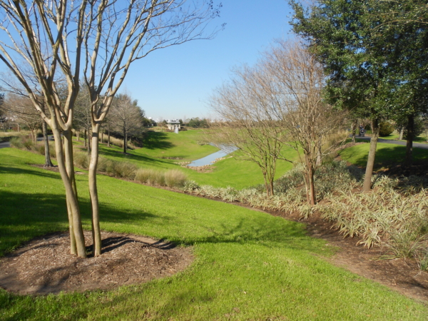 Discover Rick Rice Park: A Serene Oasis and Community Hub near Oak Park Trails