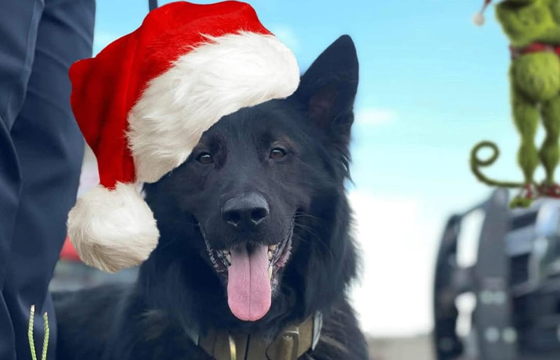 Fulshear Police Department Hosts Holiday Movie Night with 'The Grinch' This Friday