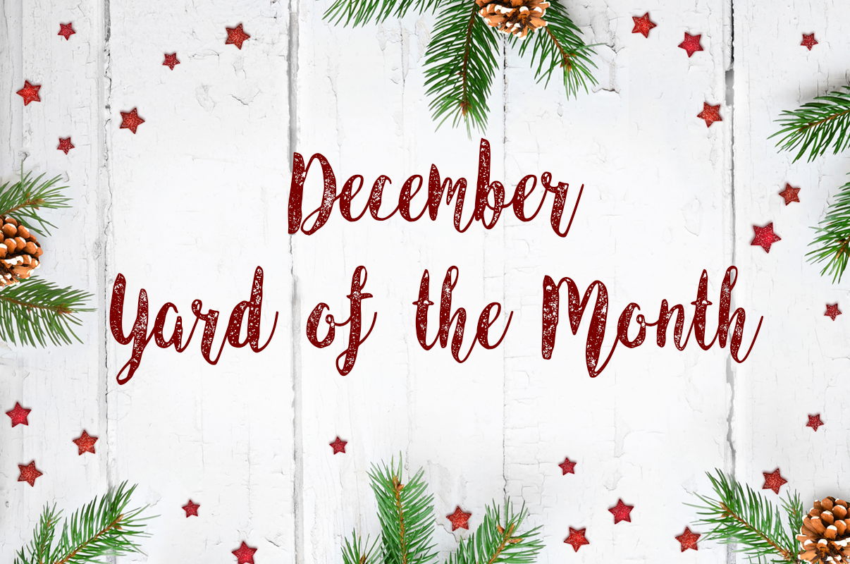 December Yard of the Month Winner