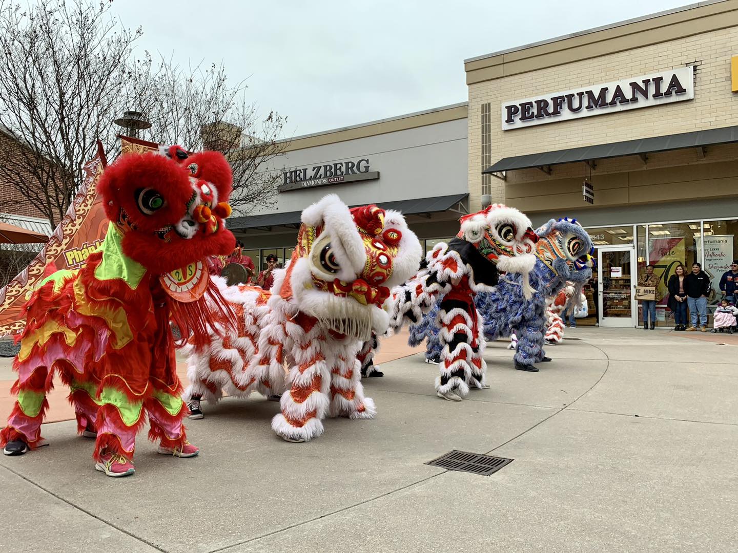 Celebrating Lunar New Year in Cy-Fair