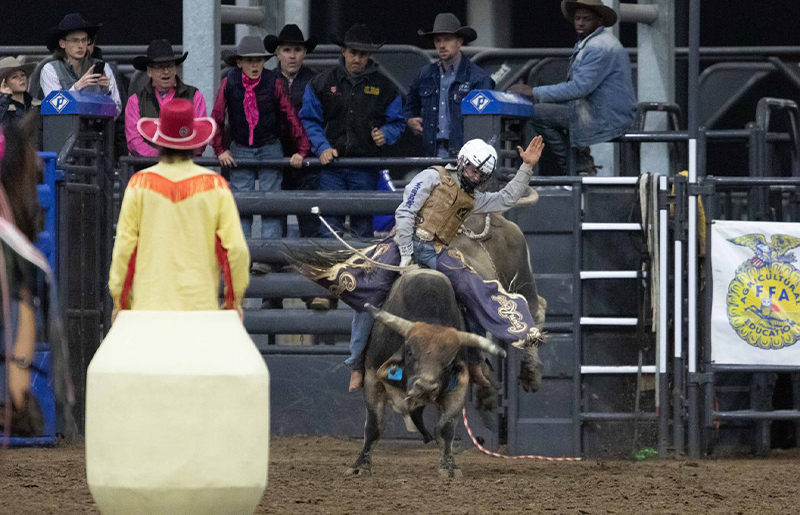Katy FFA Gearing Up for 81st Annual Katy Rodeo in February